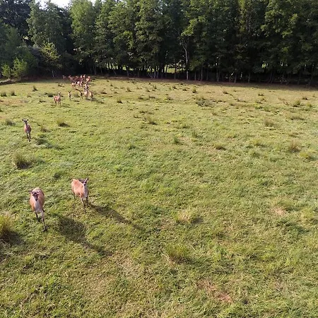 Vakantiehuis Des Biches *